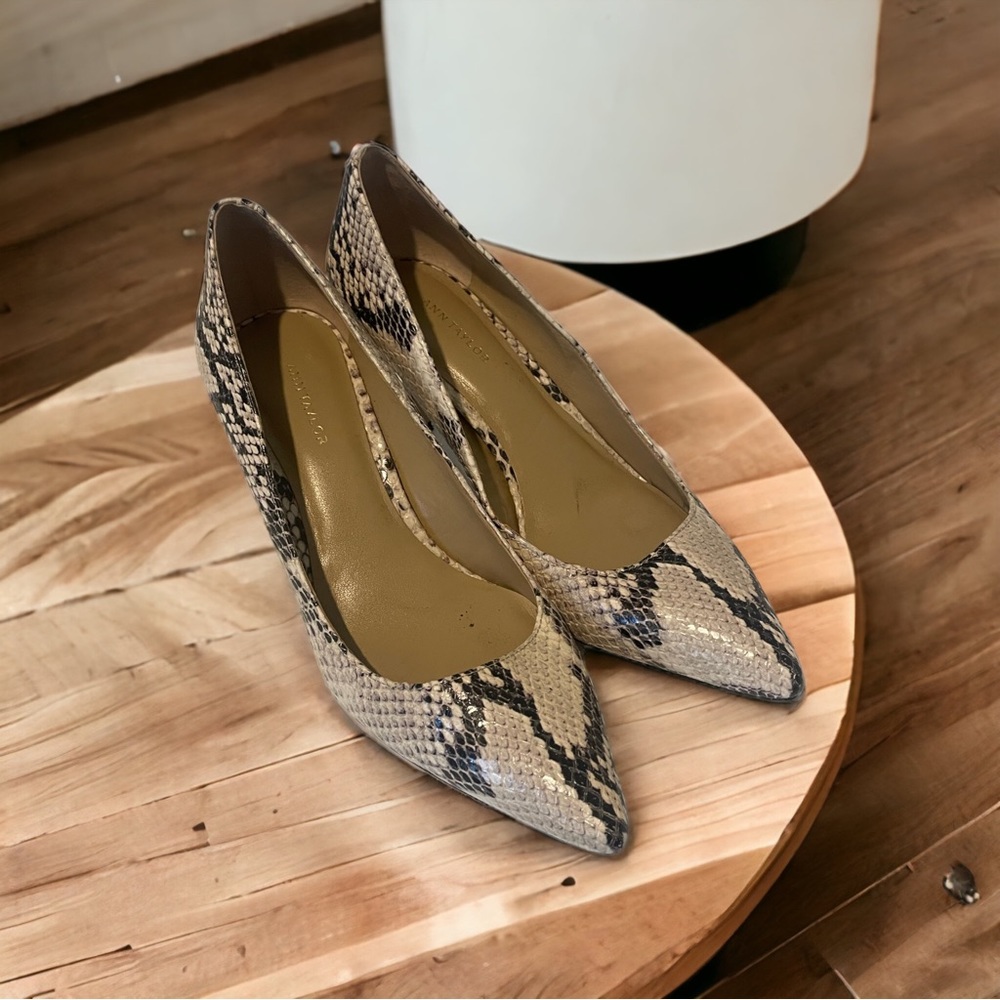 Size 6 lightly used women’s heels snakeskin patter from Ann Taylor